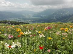 「長野・小布施・岩岳・大町」長野、白馬で遊ぶ1泊2日の旅