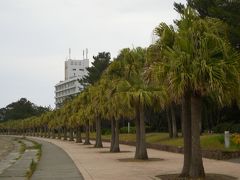 初めての宮崎県　青島　観光