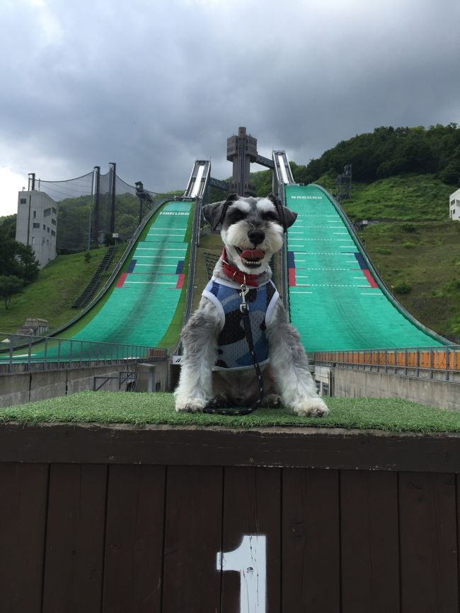 ワンコと一緒！三世代で信州避暑地へGO！2日目～白馬岩岳ゆり園、白馬ジャンプ競技場