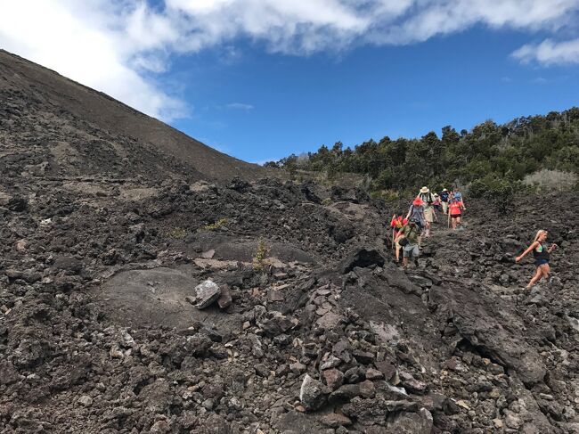 4日目はハワイ島のヒロに8時入港。<br />8時20分にネット予約していた「Crater Hike &amp; Aka Falls」二人で289,58$ のツアーで集合。赤シャツのお兄ちゃんが目印の会社だった。事前予約してあるツアーは乗船時に全てのチケットが部屋に届けられている。このオレンジの用紙にツアー名、集合場所、持ち物などが記載されている。<br /><br />バスで現地に向かう途中、ビジターセンターでトイレと、案内板、地図など見ながらこれから歩くコースなどの説明を受けた。英語などで全部は理解できないが、まっいいか。<br /><br />見晴らしの良いところからクレーターの全容が見える。ここの上からクレーターの内部に歩いて降り、クレーターの内部を横切って、また上に登って戻るという1周6.4kmのコースとのことだった。途中では溶岩に咲く花も見られ、植物の生命の力強さを感じさせられた。溶岩の隙間に手をつっこんでみたら、結構熱つかった。最後の急な登りを上がったら、最後は溶岩でできたチューブの中を通ってバス駐車場に戻った。チューブの中は真っ暗で何も見えなくなるので、携帯のライトをつけて足元に気をつけて歩いた。<br /><br />12時には噴火口のよく見えるところにあるミュージアムの前でランチタイムとなった。またターキーサンドーやポテトチップス、ビスケットなどと水を配給されたので、それぞれそのあたりの岩に座って食べた。<br /><br />12時30分に出発し、マカデミアナッツの工場を訪れてカフェ&amp;お土産タイム。我々はマカデミアアイスカップ(小=4,5$)とコーヒー(1.5$)で休憩した。<br /><br />その後は「アカカ・フォール」に移動。個人客は駐車場代など払うのに並んでいたが、ツアーはそのまま行って良いと言われたので、坂道を下る。この通路の樹木はジュラシックパークを思わせる景観であった。滝は落差60Ftなので、まずまずの迫力がある。こういう時の中国人観光客の記念写真のポーズをみていると、こちらが気恥ずかしくなってしまうのは、私だけか・・・。<br /><br />15時頃に船に戻って乗船。また洗濯とシャワーの後は13Fにビールを飲みに行く。こういう時に船室が後方だと、少し階段を登るだけなので便利であった。<br /><br />今までまだ行ってなくて、アメリカの50&#39;や、プレスリー大好きな親友から、ぜひ行って写真を撮ってきてと頼まれていた「キャデラック・ダイナー」というレストランに行ってみた。入り口からして50&#39;しているし、中にはキャデラックを使った席もあり、プレスリー関係のものも展示してある。照明もネオン管の色彩が鮮やかだ。こちらももちろん無料である。西洋人向け、若い人向きのメニューしかなく、我々は1回限りの利用であった。<br /><br />夕食後は6Fでのビートルズ・バンドのライブを聴きに行ったが、演奏者は二人だけで、後は写真だった(笑)<br /><br />5Fのメインシアターではマジックショー。アメリカではまあまあ有名なマジシャンらしい。一般の参加者もステージに上がり手伝うのだが、この人たちのリアクションの方が面白くて盛り上がる。<br /><br />この日は船がハワイ島をぐるりと回るので、21時45分頃から30分くらいの間、溶岩が流れるのがデッキからも見えるかもしれない、というので、この時間には多くの人たちがカメラ、ビデオ、双眼鏡を片手に集まってきた。かなり距離が離れているので、カメラやビデオでも望遠が効かないと見えないしフォーカスが合わないので写せない。肉眼では、溶岩が呼吸しているかのように、明るくなったり、暗くなったりで、神秘的な眺めであった。<br /><br />乗船時情報はコチラ<br />https://4travel.jp/travelogue/11267006<br /><br />下船時情報・クルーズ全般情報はコチラ<br />https://4travel.jp/travelogue/11267319<br /><br />総集編ビデオはコチラ<br />https://youtu.be/u0d1XM5RhiE