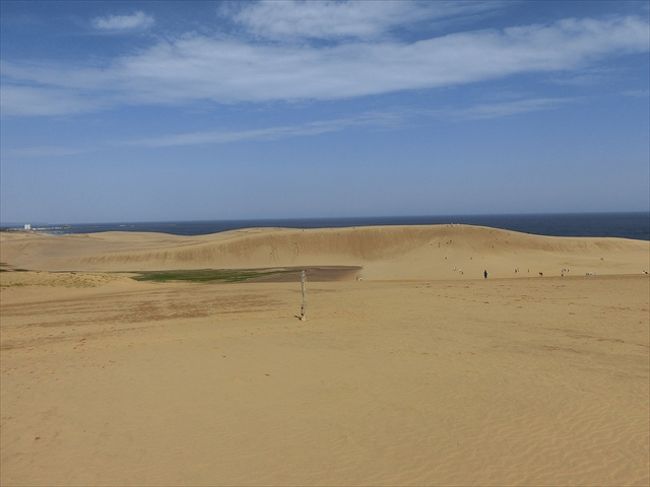 砂丘を見たくなって鳥取へ。