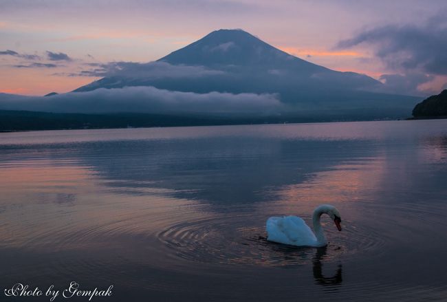 2017年山中湖ロッジ滞在記（５）湖畔で朝晩富士山を眺め、青木ヶ原樹海を歩き、土砂降りの雨の中花火見物