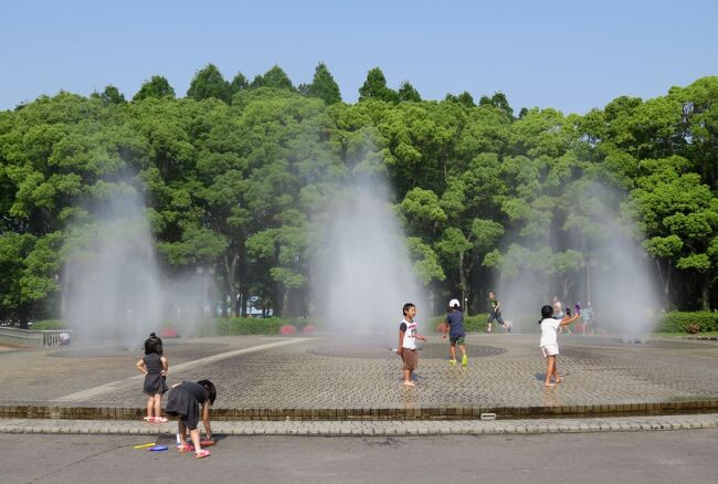 庄内緑地公園のバラの紹介です。以前(2014年)にも、見頃の時期の花を紹介しましたが、今回は見頃を過ぎた花を中心にした紹介です。