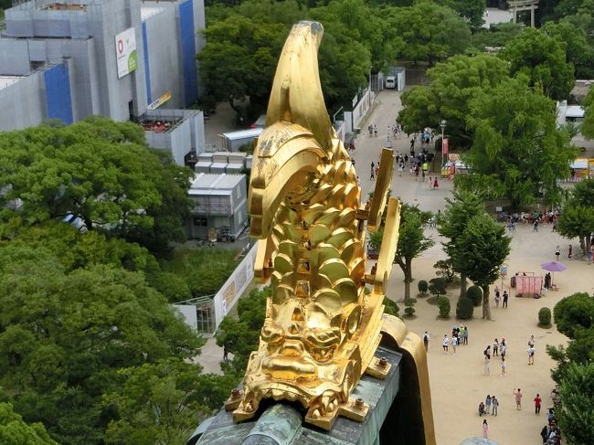 ハワイの或るFamilyから”7月中旬から8月の上旬にかけて日本に行く。その内、大阪には7/20から7/23まで4泊する予定。時間があれば会いたい。”というメールが届きました。<br /><br />早速、最近の大阪の観光スポットを調べました。<br />条件としては、大人と子供、双方が楽しめなければなりません。特に、大人より子供が楽しめる観光スポットはどこか?<br /><br />①ユニバーサル・スタジオ・ジャパン<br />②海遊館(Kaiyukan)・・・水族館(AQUARIUM)<br />③大阪城(Osaka Castle)<br />④大阪万博記念公園(Osaka Expo Memorial Park)<br /> ☆EXPOCITY ◎大観覧車(Ferris wheel)<br /> ◎ニフレル(NIFREL)・・・水族館&動物園<br /><br />4日間の内、7/21(金)はユニバーサル・スタジオ・ジャパン、7/22(土)は京都観光を予定していると言う情報あり。<br />結局、7月23日(日)しか空いていないことになりました。<br /><br />旦那さんが「大阪城」に興味があるということで、先ず、「大阪城」に行くことにしました。<br />時間があれば、EXPOCITYも予定に組み込んでいました。<br /><br />ハワイは温度が高くても過ごし易い、大阪の夏は温度・湿度が高くて非常に過ごし難い。<br />そのようなファミリーに・・・<br />☆大阪の猛暑に耐えられるだろうか?<br />☆暑さにバテルことはないだろうか?<br />☆娘の〇〇ちゃんは退屈しないだろうか?<br />☆食事は口に合うだろうか?<br /><br />いろいろなことを想像・心配しましたが、結果は「旅行記」に記載の通りです。<br /><br />もし、よろしければ一見・一読していただければ有難く思います。<br /><br /><br /><br />