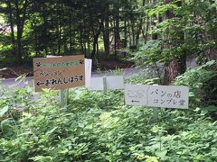 別荘族気分で過ごす夏の八ヶ岳'17②