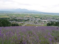 北海道はでっかいどう！【子連れ旅：富良野】