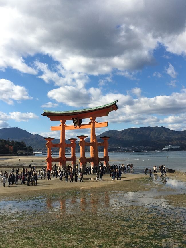 前日、急に決定した日帰り旅行。<br />滞在時間4時間程でしたが、参拝して、登山して、食べて、充実した旅でした。