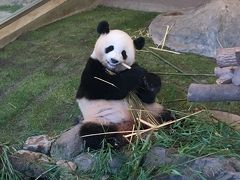 夏休みアドベンチャーワールドと串本海中公園