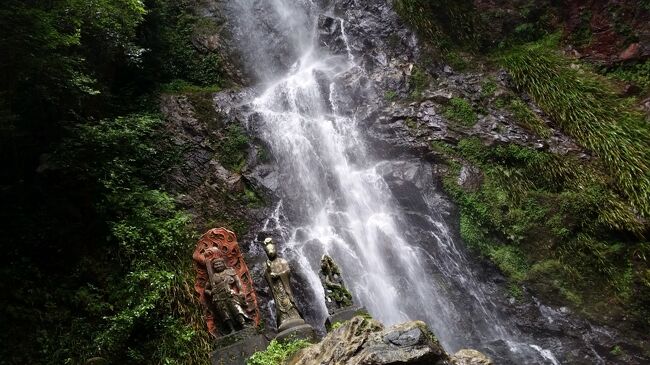 　2017年7月23日（日）から28日（金）福岡県・佐賀県を一人旅しました。その１日毎の旅行記です。<br />23日（日）成田発福岡へ　福岡空港・博多駅・天神・福岡市博物館へ<br />24日（月）日帰り入浴　アマンディへ<br />25日（火）第一観光日帰りバス旅行　清水の滝・佐賀ワシントンプラザ・　　　　　ひょうたん島公園・石村萬盛堂・光明禅寺・小倉へ<br />26日（水）ランチ・映画２本<br />27日（木）墓参り・親戚へのご挨拶<br />28日（金）小倉から福岡へ・福岡発成田へ<br />