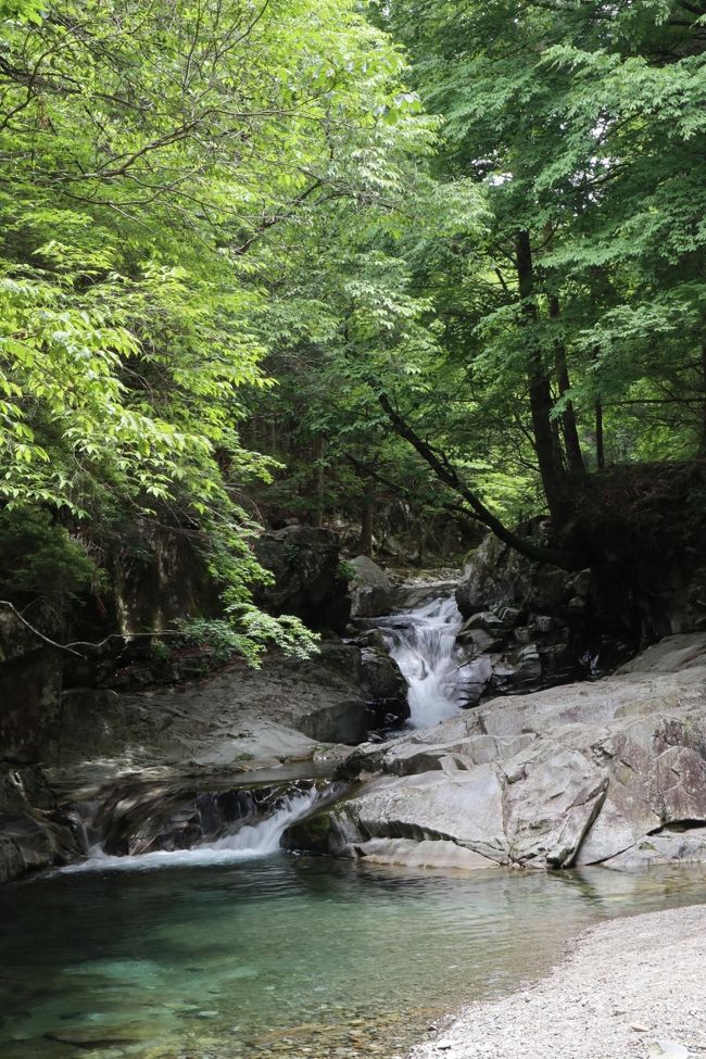 前日は「みたらし渓谷」を歩いて洞川温泉に到着して一泊し、翌日の朝9時からスタートしました。<br /><br />旅館街の中からバス停の方に行き、右回りに一周しました。最初がハードなので、一周するなら右回りの方が断然おすすめです。ゆっくり写真を撮ったり、面不動鍾乳洞にも入ったので9.4kmを約4時間かかりました。<br /><br />面不動鍾乳洞へは下からモノレールで登れますが、乗り場からインターフォンで呼んで下に車両に降りて来てもらい、それから登るので時間がかかります。今回は急な坂道を10分かけて歩いて登り、鍾乳洞を見学してから案内標識に沿って山道に入りました。<br />ひたすら杉林の中を横に、時には坂道を進んでいくと吊り橋に出ます。そこからさらに登ると展望台に到着します。ここまでは歩き慣れていないと結構ハードです。散策路には黄色や赤などのペンキで杉にマークが付いています。<br /><br />展望台の下を通り抜けて尾根沿いに進むと、グネグネと下って行きます。コウモリの岩屋の不思議な風景を見たら、すぐ先のトウロウの岩屋に入って見ましょう。南無不動明王のところに懐中電灯があるので、頭を低くしたら洞窟奥まで入れます。帰りは急な岩の階段を上ると、洞窟の横に出られます。ここまでで1/4ですが、ここからは急な坂道はほとんどありません。<br /><br />川沿いに少し歩くと、かじかの滝にでます。この辺りは「みたらし渓谷」よりも私は美しいと思い、好きな渓流でした。紅葉の時期には、また訪れて見たいです。さらに石ころ道を進むと山上ケ岳登山口に女人結界の門があります。ここから大峯には女性は入れません。橋を渡って車道に出ると、ここで折り返しになります。トイレも綺麗なのがあります。<br /><br />あとは車道を歩いて戻ります。途中には母公堂、ゴロゴロ水の出ている場所や茶店があります。給水は有料ですが、茶店で名水コーヒーを飲むと無料で入れさせてもらえました。この駐車場のところに五代鍾乳洞へのモノレールもありますが、到着した時には午前の便は終了で13時からになって降り、歩いて登っても13:30からしか鍾乳洞には入れないということで断念しました。<br /><br />あとは、車道をひたすら歩いて旅館街に戻ります。一旦、花屋徳兵衛さんの隣の純喫茶「ルナ」のおばあちゃんのところで休憩するのも良いでしょう。<br /><br />バス停まで戻って、龍泉寺に立ち寄りました。庭が美しいお寺です。広い境内で修行僧の法螺貝を吹く音色が響いていました。滝に打たれて修行する小さな滝も境内にありました。ここで一周したことになります。13時になったので、バス停近くの手打ちそばでお昼ご飯にしました。<br /><br />後半の車道は見どころも少ないので、短時間でいいとこ取りしたいなら、かじかの滝周辺だけ車道の方からアプローチして見て戻るのが良いかと思います。