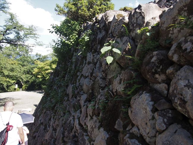 白山平泉寺を出発したバスツアー、もう終盤戦、大野城を残すのみとなりました。<br /><br />クラブツーリズムからの案内には、「奥越のマチュピチュ」と称される天空の城、と書かれている大野城です。<br /><br />どんなところなのでしょう。<br /><br />もちろん、この時期この時間帯では、雲海に包まれた城というわけにならないでしょうね。<br /><br />大野市の真ん中にある、標高249mの亀山の頂上にある大野城、暑いなか上っていかないといけないようです。<br /><br />ボランティア・ガイドが案内してくれる大野城、おりてくると、そこには名水百選に選ばれた、御清水(おしょうず)が迎えてくれます。<br /><br />冷えてとても美味しい御清水、ほっとさせてくれます。<br /><br />大野城の後は、越前そばの里で買い物休憩となります。<br /><br />【写真は、大野城の石積みです。】<br />