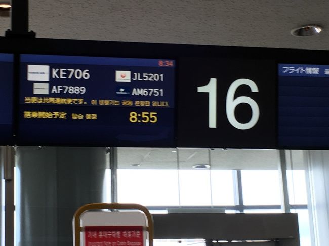 7月20日予定通りに出発・到着は大韓航空・成田～仁川空港、往復とも7割程度の搭乗者の方々でしたが機内食はやや省エネ？<br />途中、2泊3日行程でＫＴＸ利用して釜山往復し観光等は満足(ソウルとは少し異なる暑さながら海のそばなので朝夕はやや涼しい風に癒やされました)。<br />いずれにしても概ね一人旅の目的を達成することが出来ました。<br />【20日～23日･ソウル、コリアナホテル】<br />【23日～24日･釜　山、東横イン釜山駅１】<br />【24日～25日･ソウル、コリアナホテル】の日程でしたが過去に比しホント暑かったです成田空港出発から。<br />