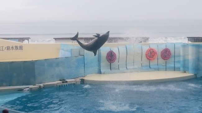 2017.8.4<br />平日金曜日で車が多く、予定変更して新江ノ島水族館に行った。<br />帰りに湘南T-SITEに寄った。