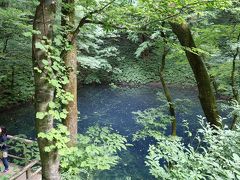 絶景とグルメの東北旅行　１日目（十二湖編）