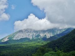 涼を求めて遠く大山のブナ林へ(^o^)