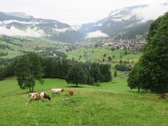 2017 スイスアルプスハイキング⑤　崖っぷちを歩く ウンテラーグレッチャー♪　