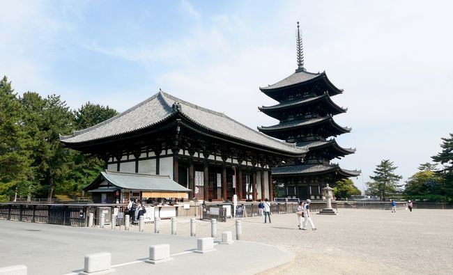 今回,奈良に来た目的は国宝館閉館のための天平乾漆群像展を見たかったからだ.今井町で茶粥を食べたがさすがにそれではおなかが減る.もう一度奈良小西さくら通りのオールディダイニングで昼食.一つのパスタとビュフェで1600円と安い.スパゲティも若干アルデンテより柔らかい感じだったがとてもおいしかった,この店は長くいるお客さんが多く込んではいるが入ってもいい店だ.サラダやピザなどが食べ放題.<br />興福寺では仮講堂と東金堂を見学<br />仮講堂(旧薬師寺金堂 室町時代後期 2000年前中金堂(現在再建中)のかわりの仮金堂として使われていた.今後は仮講堂となる.この中に天平乾漆群像展と称し,曼荼羅様に配置されていた.光明皇后の祈りの空間が再現されている.国宝館ではわからなかった制作の意図も含めてよくわかる展示だった.たしか釈迦の周りに,その教えを聞きに十大弟子や八部衆,さらには動物や鳥たちも集まったという.東金堂ではかつて本尊として祀られていた旧山田寺仏頭が東金堂に戻られ,日光月光菩薩とともに展示されていた.往年の白鳳の薬師如来三尊を想像した.<br />帰りに少し疲れたので,Rococoでエスプレッソとアイスクリーム.レンタカーで伊丹空港へ.1920発40便で帰京した.<br />今回天平乾漆群像展を見ることができたのは本当に最高だった.合掌.<br />