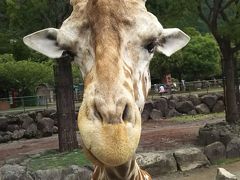 いざ東伊豆へ！ (2日目)  伊豆アニマルキングダム