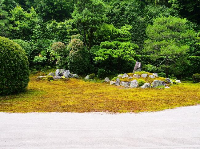 東福寺には何度も足を運んでいますが、東福寺の塔頭にはあまり足を踏み入れたことがありません。<br /><br />ということで、今回は雪舟寺とも呼ばれる東福寺塔頭の芬陀院 (雪舟寺)へ出かけてみました。<br /><br />芬陀院には雪舟が石で描いたと言われる鶴亀の庭があり、そこでゆっくり心を洗おう、という魂胆です。<br /><br />