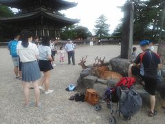 阿蘇美忍、5都物語～♪(^ー^)奈良公園周辺～！