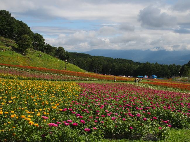 製造業の夏休みは大体一斉に7月最終土曜日から1週間、<br />愛車で2泊3日のドライブ旅行に出掛ける。<br />我が家から白馬迄、300km弱。圏央、中央高速、一般道を走る。<br /><br />1泊目は東急ハーヴェストクラブ蓼科に後は白馬ハイランドホテルにお世話になる。<br /><br />散策は富士見高原「花の里」、白馬岩岳「ユリの里」、栂池自然園を廻る。<br /><br />今年の天気、こんなの初めて。山々の上が見えないのです。<br /><br />参考: Admpapa3.blogspot.com 