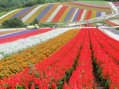 もう何度目？　北海道美瑛町の丘へＧＯ！