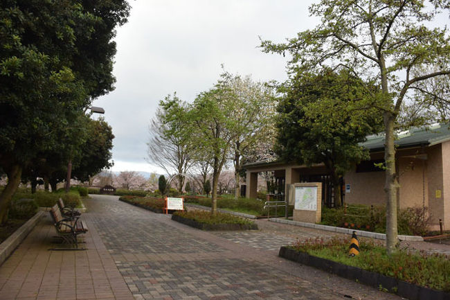 新東名高速道路の側道沿いにある富士西公園まで自転車で行き、富士西公園を歩いて来ました。<br /><br />★富士市役所のHPです。<br />http://www.city.fuji.shizuoka.jp/