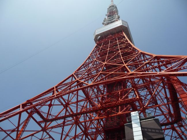 台風をかわしながら東京へ（２）「はとバス」で都内を巡りました。