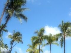 Hawaii * ヒルトン・ハワイアン・ビレッジ・ワイキキ・ビーチ・リゾート