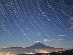 愛犬と箱根で避暑