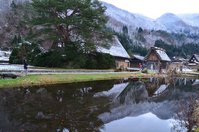 年末に合掌造り集落を満喫すべく富山県五箇山と岐阜県白川郷を訪れました。<br />私的には合掌釣りの家には雪が似合う気がしています。<br />また、北陸の雪ですから水を含んで重たいこと重たいこと。<br />北海道に住んですっかり忘れていました。<br />ここでは、白川郷周辺での旅行記をまとめたいと思います。