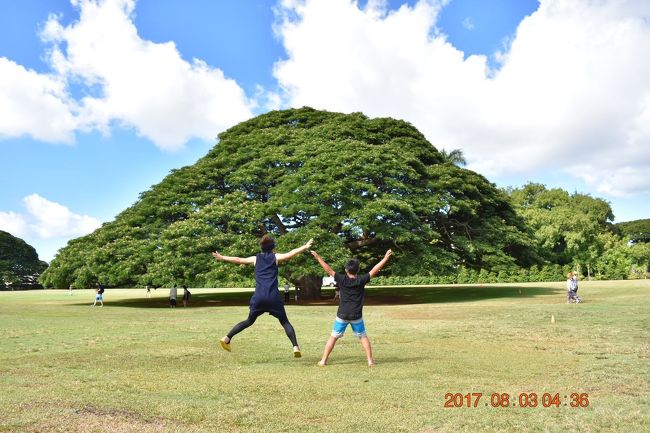 2017夏休み<br />デルタ278<br />関西国際空港22時55分発<br />ホノルル<br />レンタカーでノースショア<br />ウエットアンドワイルドハワイへ<br />ダイヤモンドヘッドハイキング