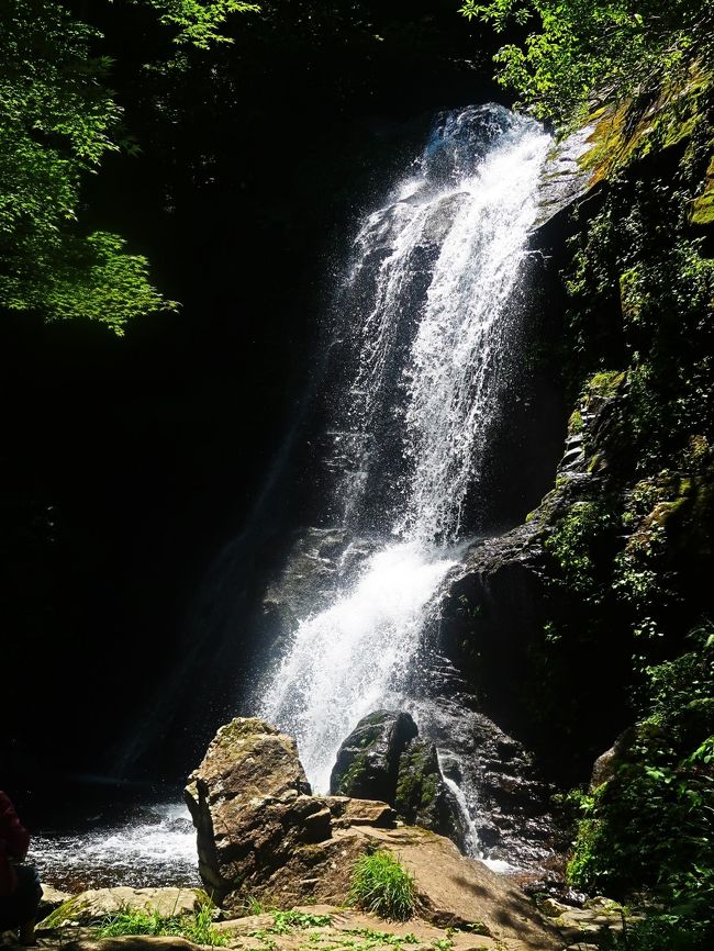 宇津江四十八滝（うつえしじゅうはちたき）は、岐阜県高山市国府町宇津江にある渓谷、滝。宮川（神通川）の支流・宇津江川にあり、その上流の渓谷にある一連の滝の総称である。<br /><br />岐阜県の名勝、県立自然公園に指定されている。また1982年に「21世紀に残したい日本の自然100選」、1986年に「岐阜県の名水50選」、2004年に「飛騨・美濃紅葉三十三選」にそれぞれ選定されている。<br /><br />その名称から、四十八筋の滝があると思われがちであるが、実際には主に十三筋の滝からなる。　<br />下流から記述する。数字は高さ。<br />魚返滝：6m　　朝霧滝：2.5m　　平滝：3m　　函滝：11.5m　　上段滝：10.1m　梵音滝：5.7m　　王滝：18.8m　　銚子口滝：10.8m　　障泥滝：9.8m　盌水滝：1.5m　　瑠璃滝：6m　　布晒滝：3m　　上平滝：2m<br />（フリー百科事典『ウィキペディア（Wikipedia）』より引用）<br /><br />宇津江四十八滝　については・・<br />http://www.kankou-gifu.jp/spot/1237/<br />http://www.hidakokufu.jp/%E5%AE%87%E6%B4%A5%E6%B1%9F%E5%9B%9B%E5%8D%81%E5%85%AB%E6%BB%9D<br /><br />岐阜県は、日本の中部地方に位置する県。内陸県の一つで、日本の人口重心中央]に位置し、その地形は変化に富んでいる。県庁所在地は岐阜市。<br />北部の飛騨地方の大部分は、標高3,000m級の飛騨山脈をはじめとする山岳地帯で、平地は高山盆地などわずかしかない。一方、南部の美濃地方は、愛知県の伊勢湾沿岸から続く濃尾平野が広がり、低地面積が広い。特に南西部の木曽三川（木曽川、長良川、揖斐川）合流域とその支流域には、水郷地帯が広がり、海抜0m以下の場所もあるこのような岐阜県の地形の特徴を表して、飛山濃水という言葉で表される。<br />（フリー百科事典『ウィキペディア（Wikipedia）』より引用）<br /><br />ぎふ-旅　については・・<br />http://www.kankou-gifu.jp/<br /><br />『 コバルトブルーの清流と大自然…美しすぎる秘境・絶景＆下呂温泉に2連泊』　　旅行代金 39,900円 日数 2泊3日 <br />トイレ付きバス＆ガイド付きで行く！絶景・秘境好きに贈るオススメ旅<br />初登場！話題の天空の茶畑！まだ見ぬコバルトブルーの清流<br />美しすぎる秘境・絶景＆下呂温泉に２連泊<br /><br />1京成津田沼(8:00発)--中津川・大蔵木工所--龍神の滝(美しい癒しの滝・自由散策/60分) --付知峡(コバルトブルーの清流と不動滝・観音滝・仙樽滝/自由散策40分)【15：50-16：30】--舞台峠(買い物20分) --下呂温泉 宿泊 ： ブリーズベイホテル＆リゾート下呂(泊) <br /><br />2 下呂温泉--根道神社・名もなき池(SNSで話題の美しすぎる池・自由散策/30分) ---道の駅美濃（昼食・買い物) ---徳山ダム・徳山湖(絶景の秘境ダム湖。総貯水容量日本一/見学40分) --天空の里・上ヶ流(岐阜のマチュピチュと称される天空の隠れ里/自由散策60分) --下呂温泉 　宿泊 ： ブリーズベイホテル＆リゾート下呂(泊) <br /><br />3 下呂温泉--東仙峡・金山湖(水鏡のような美しき湖/写真タイム15分) --巌立峡(緑のグランドキャニオンと称される役72ｍ、幅約120ｍの岸壁と三本滝/自由散策40分) --宇津江四十八滝(苔むす岩と無数の滝のコントラスト。「岐阜県の名水50選」/自由散策60分)--平湯(買い物25分) --京成津田沼（17：30）