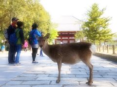 目指すは明日香村と奈良　GW行って来たぞー！　ブーッ＝３＝３