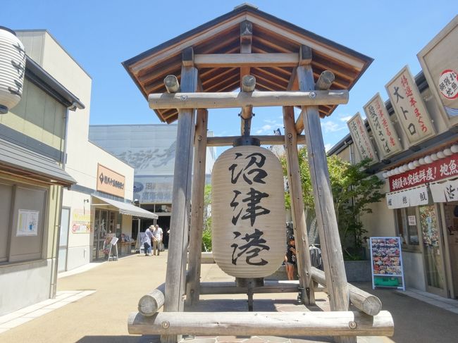 関東で今夏一番の暑さになると予報が出た日、家でグダグダ過ごすより涼しい車でドライブしようと急遽沼津まで行くことを決めました。暑いので観光はせずに海鮮ランチを目的のドライブです。帰りには柿田川の源流にも立ち寄りマイナスイオンを浴びてきました。