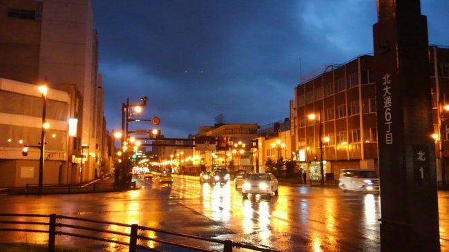 釧路をスタートし、白糠町、厚岸町、釧路町、標茶町、弟子屈町、美幌町、清里町、阿寒町を、車で周りました。<br />1泊目のホテルは、ANAクラウンプラザホテル釧路。<br />2泊目のホテルは、名湯の森ホテルきたふくろう。<br />行きも、帰りも釧路空港を利用しました。