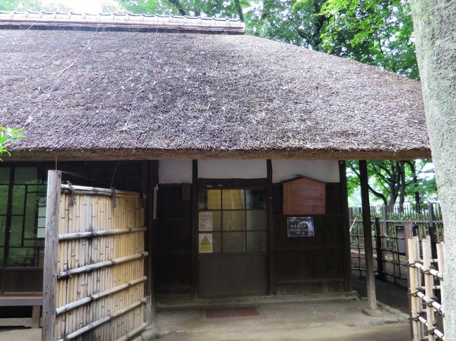 世田谷　芦花公園を歩く<br /><br />ハイキング仲間からメールがあり、世田谷文学館で山に関するイベントがあるとのお誘いメールがきました。<br />喜んで了承し、8月11日「山の日」に3人で芦花公園周辺を歩いてきました。<br />皆、山へ行きたい気持ちが高まってきたようです。<br /><br />歩数：約10,800歩<br />歩行距離：6.3ｋｍ<br />