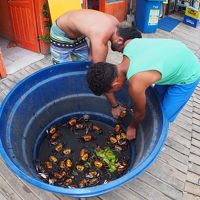 モーホ・デ・サンパウロ Morro de São Paulo という島（この島の浜辺沿いをの～んびりと歩いてみる、ホテル・レストラン探索編）－7－（サルバドール／バイーア州／ブラジル）