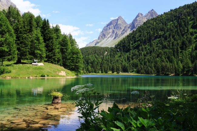 　どうやらスイスに恋をしてしまったらしい。２０１１年夏に妻とスイスを訪れて以来、すっかりスイスに魅了されてしまった。万年雪を抱くアルプスの峰々、麓に広がる緑のアルプ、ターコイズブルーに輝く湖、中世の面影を色濃く残す街並み、そしてホスピタリティー溢れる人々...スイスの魅力は語り尽くせない。<br /><br />　インターネットでスイス旅行記を読みあさったり、YouTubeで動画を検索したり、ＢＳのスイス旅行関係番組は欠かさずチェックするなど想いは募るばかり。こうなると、もう我慢できない。定年まではあと２年あるが、ここ数年身体の調子が悪くいつまで元気にいられるか分からないこと。また、前年度の人事異動で休暇が取りやすい職場に移ったことなど何やかんやと理由を付けて、何とか妻を説得。プランニングを開始した。旅行期間は前回と同じく夏とし、「海の日」を絡めた１１日間。航空券やホテルなどの手配も前回と同じ旅行会社に依頼した。<br /><br />　ところが、今度は妻にトラブル発生。実家の関係で当面旅行どころでは無くなったのだ。しかし、一度火が付いてしまった心はもう止められない。後ろめたい気持ちはあったが、妻の「ひとりで行ってきて。」という言葉に甘え、結局「スイスひとり旅」に出かけることとなった。<br /><br />　なお、今回の日程は次のとおりです。<br /><br />７月１０日：羽田発エールフランス深夜便で、シャルル・ド・ゴール空港を経由し、翌朝チューリッヒ到着。<br />７月１１日：チューリッヒ到着後、宿泊地のサン・モリッツへ移動。途中、「パルプオーニャ湖」、「シュターツ湖」でハイキング。<br />７月１２日：朝、「ディアボレッザ展望台」で眺望を楽しんだ後、「オスピッツオベルニナ」～「アルプグリュム」のハイキング。午後は「ムオタス・ムライユ展望台」へ。<br />７月１３日：「コルバッチ展望台」で眺望を楽しんだ後、「ムルテル」～「フォルクラ・スールレイ」～「ポントレジーナ」のハイキング。<br />７月１４日：グリンデルワルトへ移動。途中「トゥーン湖」のクルーズ船に乗る。<br />７月１５日：「グロッセ・シャイディック」～「フィルスト」～「バッハアルプゼー」～「ブスアルプ」のハイキング。<br />７月１６日：午前中「ラウターブルンネン」～「トリュンメルバッハ」のハイキング。午後「ミューレン」～「ヴィンターエッグ」のハイキング。<br />７月１７日：午前中「メンリッヘン」～「クライネ・シャイディック」のハイキング。午後「ブリエンツ湖」のクルーズ船に乗船。<br />７月１８日：チューリッヒへ移動。途中「ルツェルン」へ寄り道し街歩き。<br />７月１９日：帰国便出発まで、チューリッヒの街歩き。その後、エールフランス便でシャルル・ド・ゴール空港を経由し羽田空港２０日着。<br />