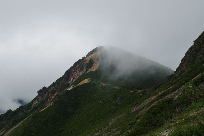 台風5号が日本の南海上にいるため、8月に入ってすっきりしない天気が続きてます。<br />本日は午後から雨予報となってますが、八ヶ岳の一角、天狗岳へ登山に行ってきました！<br />登山口は唐沢鉱泉から登りました、黒百合ヒュッテまでは緩やかな登りです。<br />山頂直下でようやく本格的な登りになります。<br />比較的楽ですが両天狗と根石岳とアップダウンはかなりの物でした。<br />また根石山荘のコマクサは大変見頃で是非近くに行かれる方は見てみてください。<br />根石山荘からはあいにくの雨で、特に西天狗からの急な岩場の下りは慎重に下りました。<br />少しレインウエアーを着るのが遅れたため、体が冷えて下山時は震えが止まりませんでした。<br />帰りに温泉に浸かって何とか回復しましたが。<br />やはり天気の悪い日の登山は辛い物がありますね。<br />早く天候が安定してくれると良いのですが。
