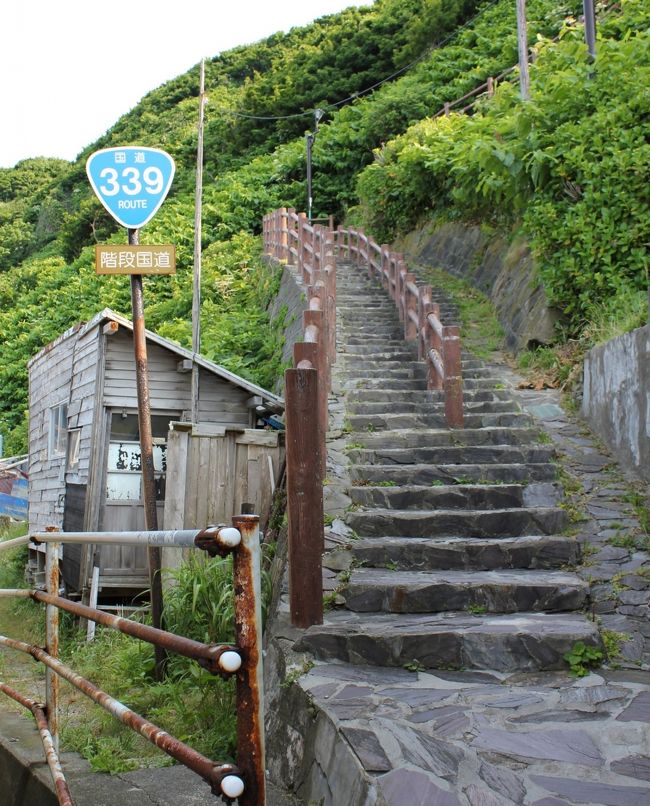 用事で札幌から東京に行くことになり、「大人の休日クラブパス」を利用してＪＲで往復することにしました。「大人の休日クラブパス」は５日間有効なので日程を調整し、東京へ向う前に青森県内を旅行することにしました。<br />＊写真は竜飛岬の階段国道<br /><br />〔行程〕<br />１日目：札幌→新青森、津軽半島一周し五所川原へ（泊）<br />２日目：主に弘前市内観光（泊）<br />３日目：弘前→新青森→東京<br /><br />＊大人の休日クラブパスは、50歳以上の会員が定められた期間内の５日間、ＪＲ東日本とＪＲ北海道の新幹線を含む列車に乗り降り自由な切符です（5日間 26,000円）。<br />札幌から東京まで新幹線と特急の普通車指定席を利用すると片道26,820円ですので、片道のみでほぼモトが取れるオトクな切符です。