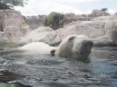 運航再開ぶらり旅～ズーパラダイス八木山・仙台うみの杜水族館編～