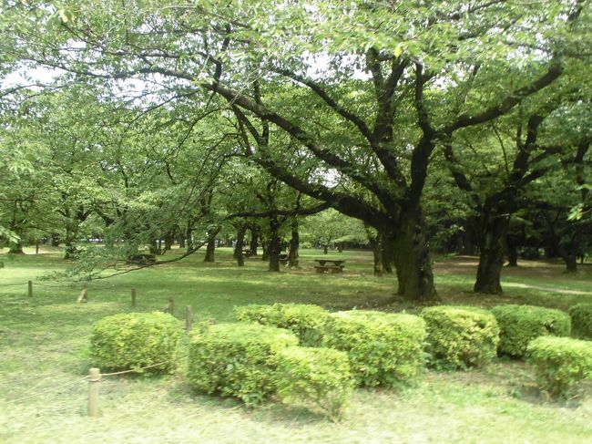 代々木公園内を散策しました。