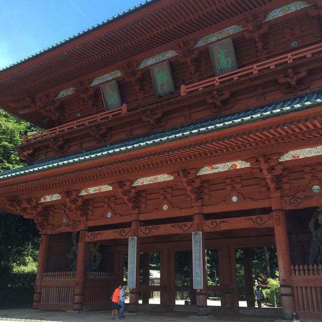 昨日比叡山延暦寺行ったので、行かないわけにいかないのが高野山。なんてたってうちの宗派は真言宗だからね！