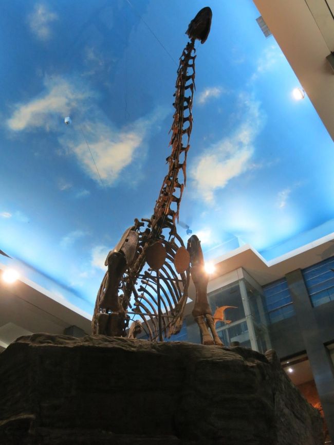 　中国の呼和浩特から陸路で北上し、モンゴルを縦断してロシアのバイカル湖まで行っちゃおう、途中で観光しながら、という旅行記。<br />　7/25はお昼過ぎまで呼和浩特市内観光して、夜に寝台列車に乗って翌朝7/26に二連に到着しました。写真は呼和浩特の内蒙古博物院に展示してあった巨大恐竜の骨の化石。<br /><br />　＜旅程＞<br />　7/22：富山-(夜行バス)→名古屋へ(車内泊)<br />　7/23：名古屋-中部国際空港-(飛行機)→呼和浩特(2泊)<br />★7/25：呼和浩特-(列車)→二連浩特へ(車内泊)<br />☆7/26：二連浩特-(小型バス)→ザミンウード-(乗合タクシー)→ウランバートル(3泊)<br />　7/29：ウランバートル-(バス)→ウランウデ(3泊)<br />　8/1：ウランウデ-(列車)→イルクーツク(2泊)<br />　8/3：イルクーツク-(小型バス、フェリー)→フジール（オリホン島）(3泊)<br />　8/6：フジール（オリホン島）-(バス、フェリー)→イルクーツク(1泊)<br />　8/7：イルクーツク-(飛行機)→仁川(1泊)<br />　8/8：仁川-(飛行機)→中部国際空港-名古屋-(高速バス)→富山
