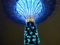 バリ島　ジャワ島（ボロブドゥール）　そしてオマケのシンガポール