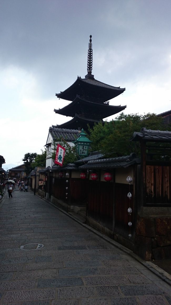 お盆休みも家族は仕事・受験勉強等で忙しいので、独りでフラッと京都に出かけた。東山界隈をほとんど徒歩で動き、結果として約12キロのウォーキングとなった。