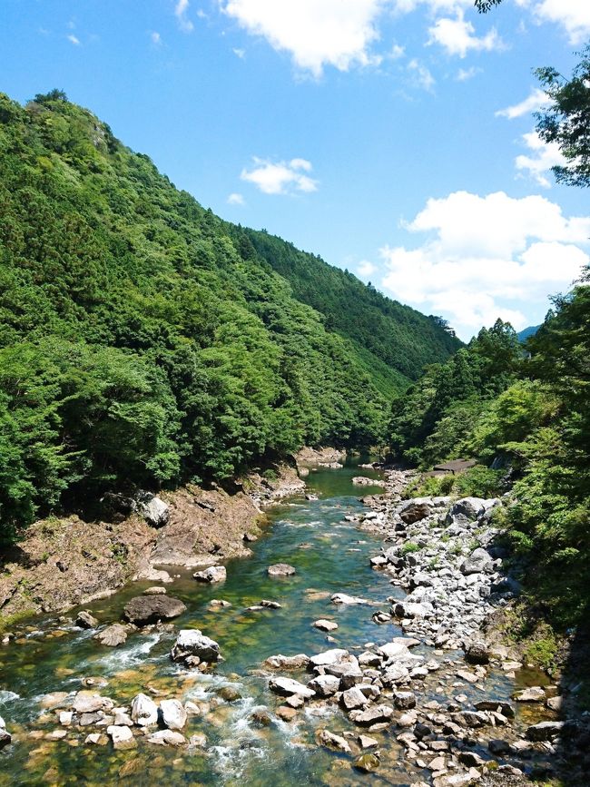 <br />2016年7月<br />この日も朝からお天気。<br /><br />今回ドライブ先に選んだのは大阪からも程よい距離で自然豊かな初の奈良県川上村へ。<br /><br />お目当てはテレビで観た涼しげな滝と不動窟。<br />緑と川の水が綺麗で空気もおいしくゆったりできました。<br /><br />また紅葉の時季にも行ってみたいです☆<br /><br />表紙写真／不動窟鍾乳洞前からの川の眺め<br /><br />川上村観光案内HP:http://www.vill.kawakami.nara.jp/kanko/docs/2017021600032/<br /><br />