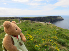 アイルランド一人旅（7）再びモハーの断崖へ[前編・南側のトレイル編] 