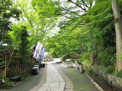 東京・夏～野川沿いを歩き、深大寺でお参り